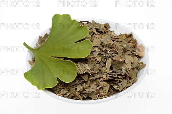 Dried ginkgo,