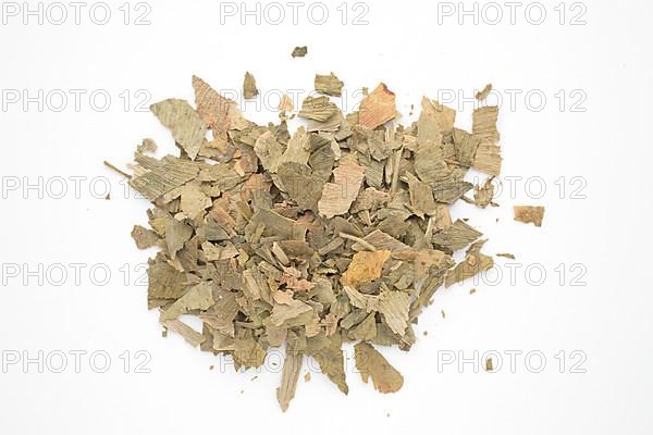 Dried ginkgo,