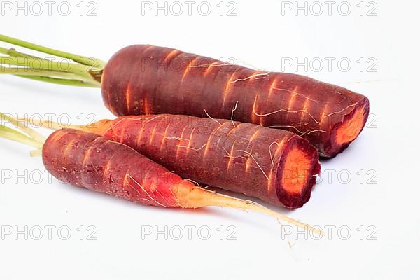 Carrot,