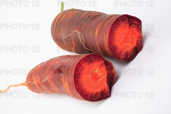 Carrot,