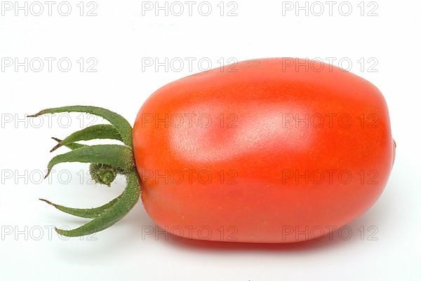 Ripe tomatoes of the variety San Marzano tomatoes, Pomodoro San Marzano dell'Agro Sarnese Nocerino