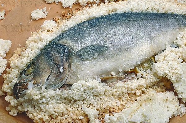 Preparation, edible fish gilt-head sea bream