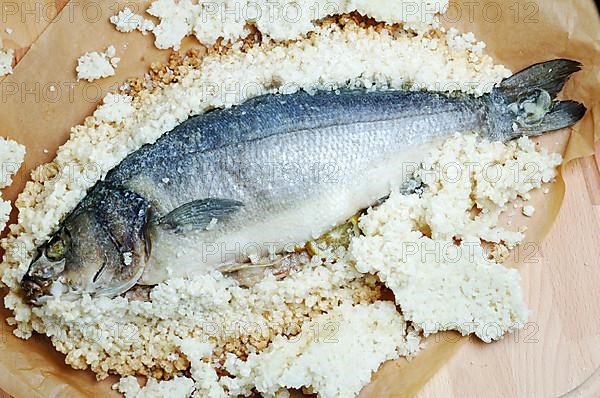 Preparation, edible fish gilt-head sea bream