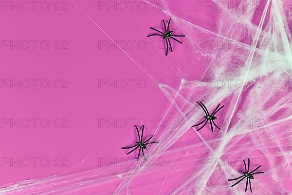 Spider webs and plastic spiders on right side of pink Halloween background with empty copy space,