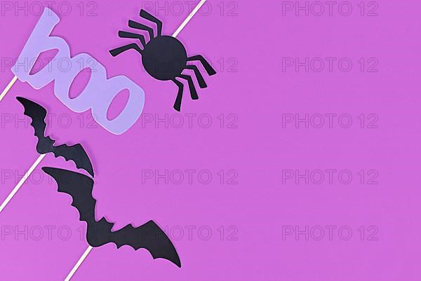 Halloween background with photo props on sticks in shape of black bats, spider and violet word boo on purple background with copy space
