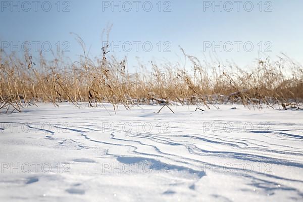 Snow drifts caused by wind from powder snow look like dunes and form bizarre patterns and structures,