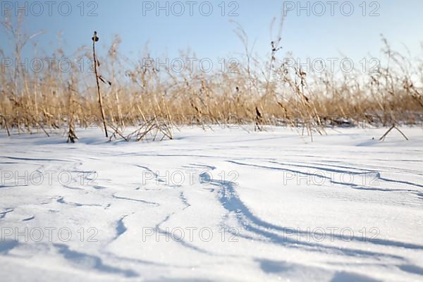 Snow drifts caused by wind from powder snow look like dunes and form bizarre patterns and structures,