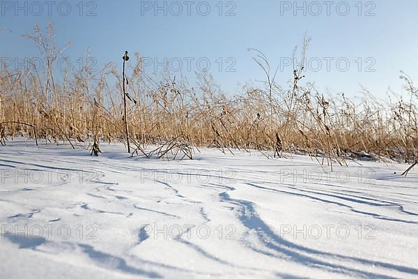 Snow drifts caused by wind from powder snow look like dunes and form bizarre patterns and structures,