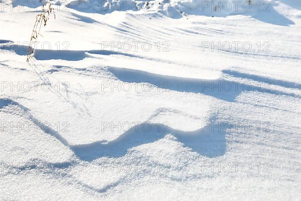 Snow drifts caused by wind from powder snow look like dunes and form bizarre patterns and structures,