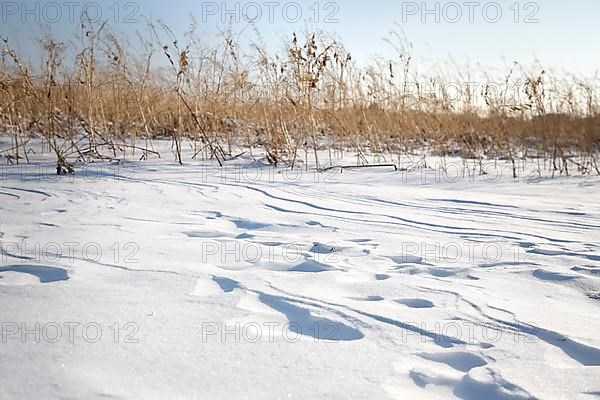 Snow drifts caused by wind from powder snow look like dunes and form bizarre patterns and structures,