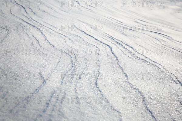 Snow drifts caused by wind from powder snow look like dunes and form bizarre patterns and structures,