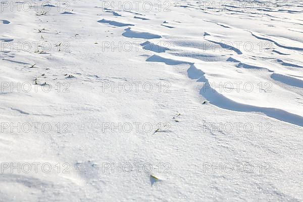 Snow drifts caused by wind from powder snow look like dunes and form bizarre patterns and structures,