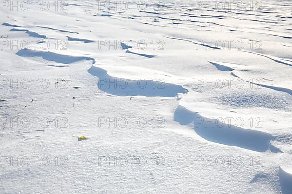 Snow drifts caused by wind from powder snow look like dunes and form bizarre patterns and structures,