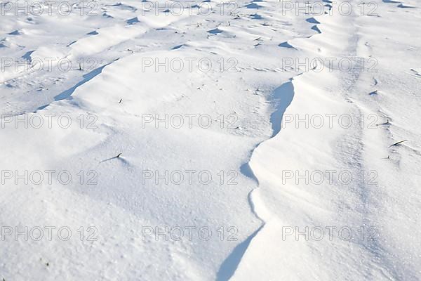 Snow drifts caused by wind from powder snow look like dunes and form bizarre patterns and structures,