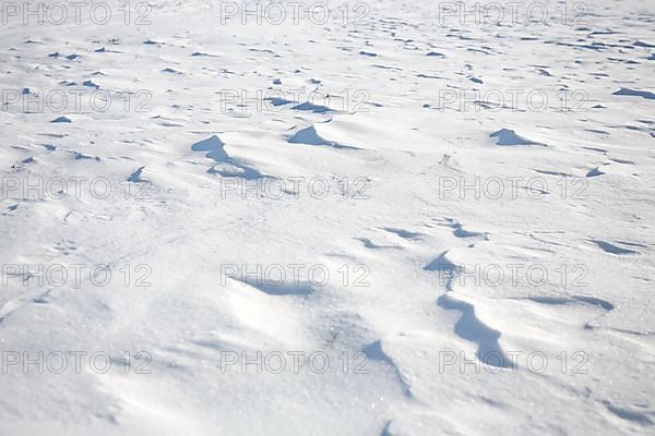 Snow drifts caused by wind from powder snow look like dunes and form bizarre patterns and structures,