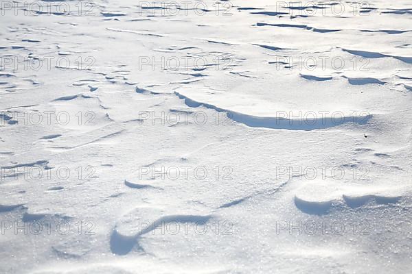 Snow drifts caused by wind from powder snow look like dunes and form bizarre patterns and structures,