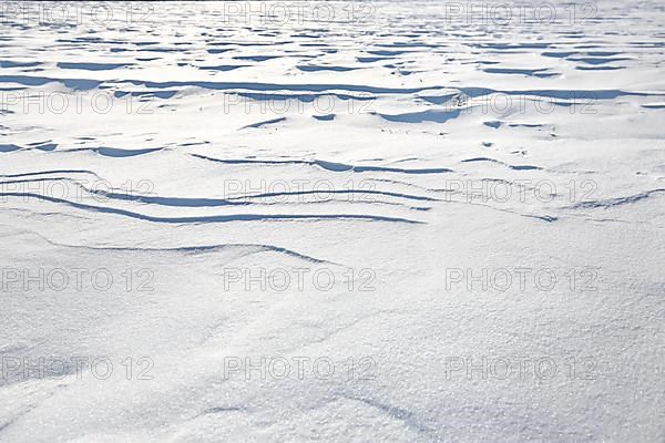 Snow drifts caused by wind from powder snow look like dunes and form bizarre patterns and structures,