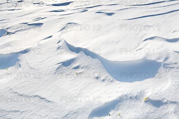 Snow drifts caused by wind from powder snow look like dunes and form bizarre patterns and structures,