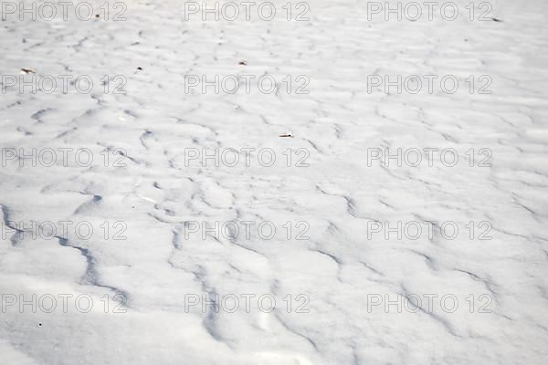 Snow drifts caused by wind from powder snow look like dunes and form bizarre patterns and structures,