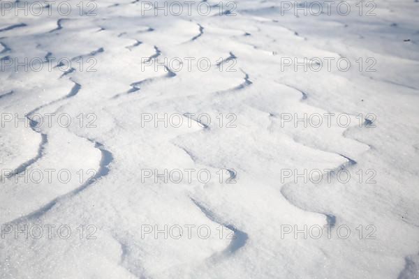 Snow drifts caused by wind from powder snow look like dunes and form bizarre patterns and structures,