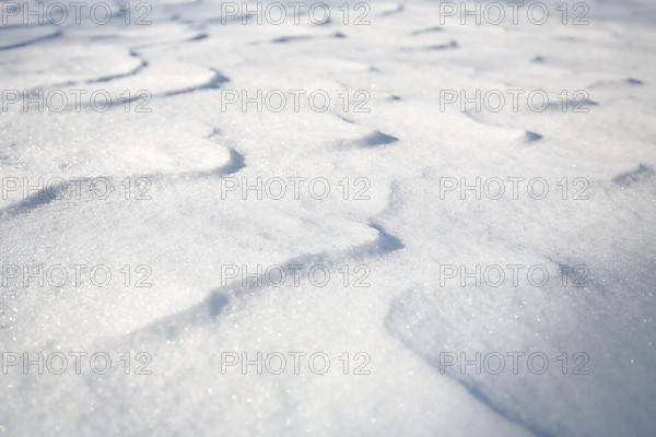 Snow drifts caused by wind from powder snow look like dunes and form bizarre patterns and structures,