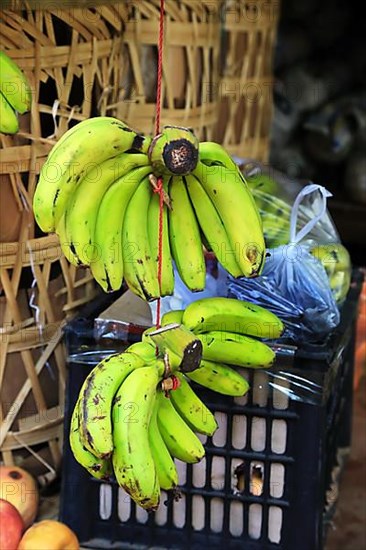 Bananas at Mani Sithu Market. Nyaung-U, Myanmar