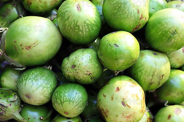 Melons at Mani Sithu Market. Nyaung-U, Myanmar