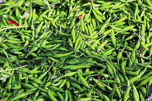 Chilli at Mani Sithu Market. Nyaung-U, Myanmar