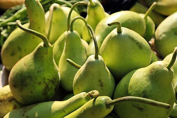 Pears at Mani Sithu Market. Nyaung-U, Myanmar