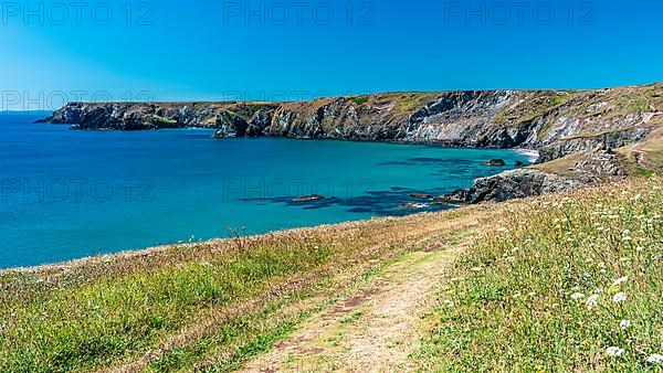 Kynance Cove and Asparagus Island, Cornwall