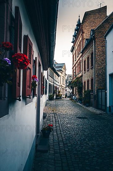 Old town with half-timbered houses around the Electoral Castle on the banks of the Rhine, Eltville am Rhein