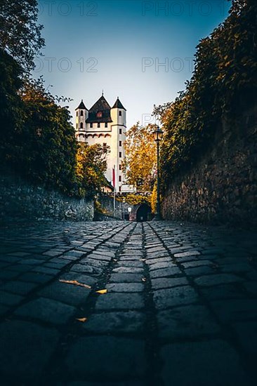 Electoral castle on the banks of the Rhine, Eltville am Rhein