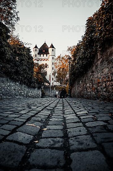 Electoral castle on the banks of the Rhine, Eltville am Rhein