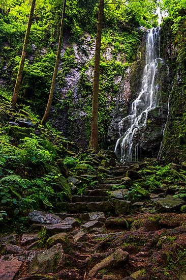 Waterfall with old stone steps in the green forest, the Burgbach waterfall near Schapbach in the Black Forest