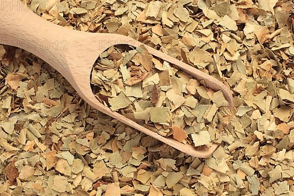 Dried leaves of the bitter orange, used as herbal medicine and scent