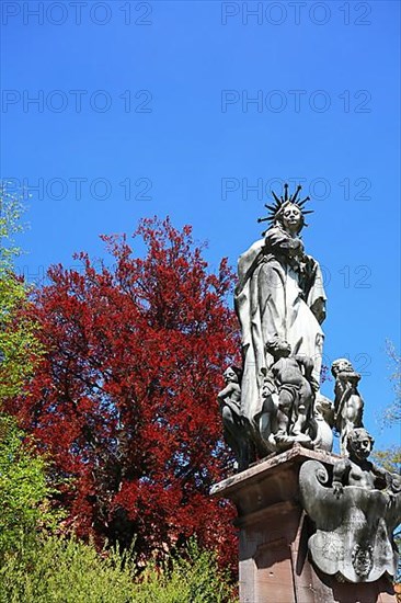 Castle in the centre of Bad Waldsee, Ravensburg