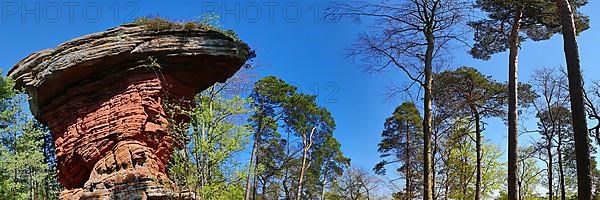 The Devil's Table at the Old Castle Rocks near Eppenbrunn. Eppenbrunn, Pirmasens-Land