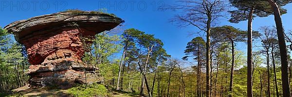 The Devil's Table at the Old Castle Rocks near Eppenbrunn. Eppenbrunn, Pirmasens-Land