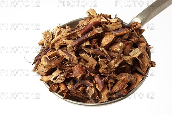 Dried thorny herb of the medicinal plant Gleditsia horrida sinensis, soap bean thorns