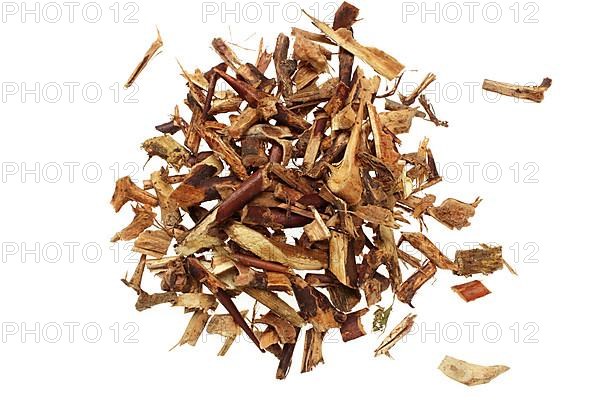 Dried thorny herb of the medicinal plant Gleditsia horrida sinensis, soap bean thorns