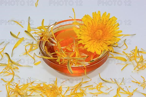 Dandelion syrup, dandelion honey