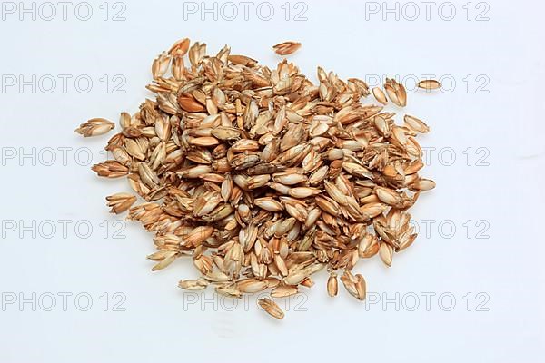 Spelt husks, spelt husks. Spelt husk is probably one of the best-known natural fillings for pillows