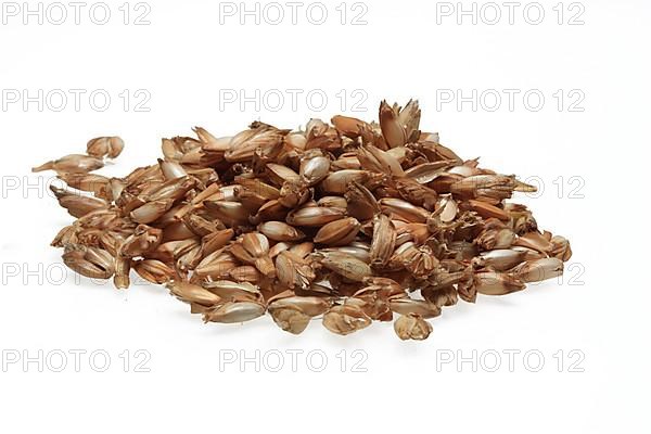 Spelt husks, spelt husks. Spelt husk is probably one of the best-known natural fillings for pillows