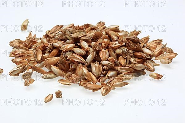 Spelt husks, spelt husks. Spelt husk is probably one of the best-known natural fillings for pillows