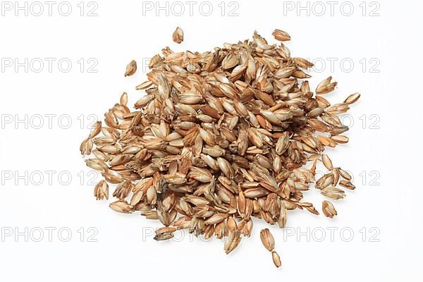 Spelt husks, spelt husks. Spelt husk is probably one of the best-known natural fillings for pillows