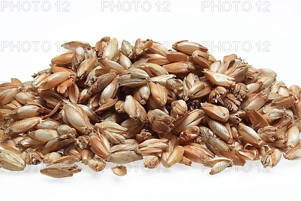 Spelt husks, spelt husks. Spelt husk is probably one of the best-known natural fillings for pillows