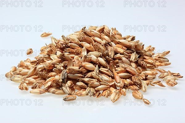 Spelt husks, spelt husks. Spelt husk is probably one of the best-known natural fillings for pillows