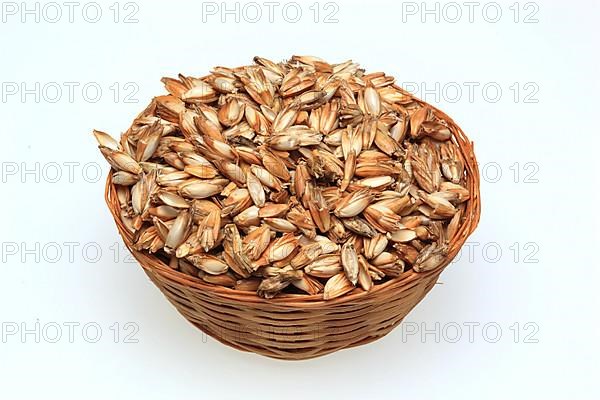 Spelt husks, spelt husks. Spelt husk is probably one of the best-known natural fillings for pillows