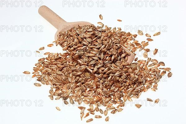 Spelt husks, spelt husks. Spelt husk is probably one of the best-known natural fillings for pillows