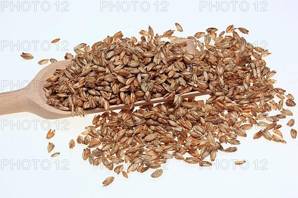 Spelt husks, spelt husks. Spelt husk is probably one of the best-known natural fillings for pillows